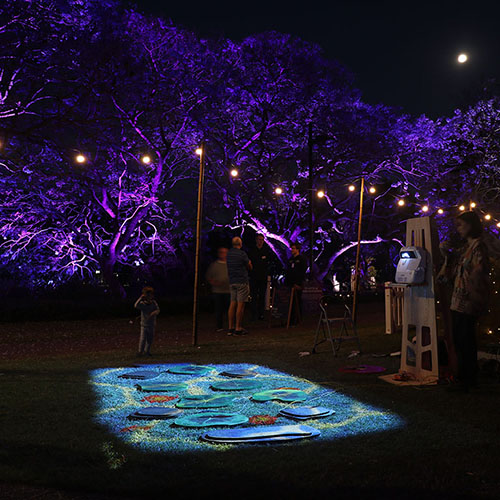 At UQ Bloom