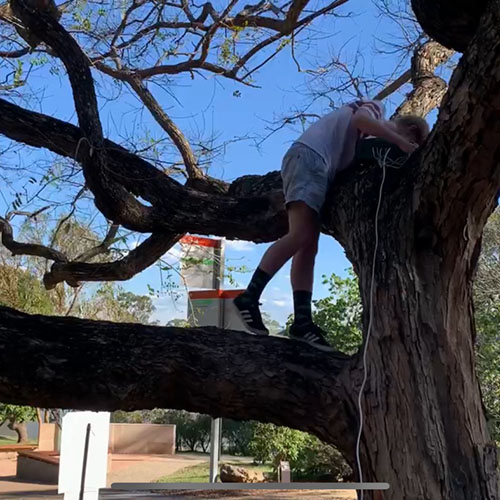 Wrapping LED strips on the tree